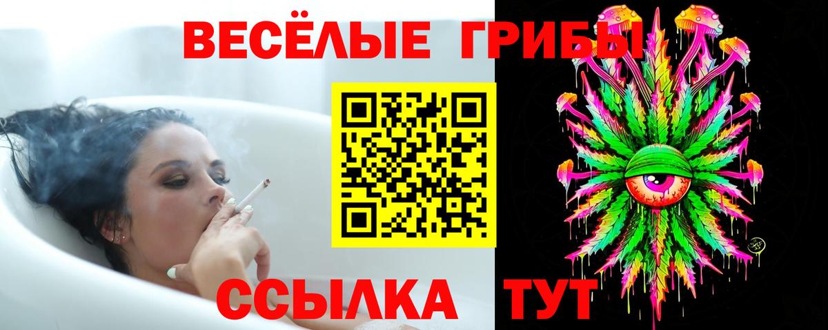 Псилоцибиновые грибы прущие грибы Саранск